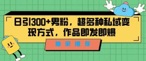 独家推荐！日引300+男粉，超多种私域变现方式，作品即发即报-逍遥游
