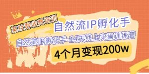 某社群收费培训：自然流IP 孵化手-14天线上实操训练营 4个月变现200w-逍遥游