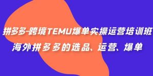 拼多多-跨境TEMU爆单实操运营培训班,海外拼多多的选品、运营、爆单-逍遥游