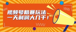 视频号粗暴玩法,一天利润大几千-逍遥游