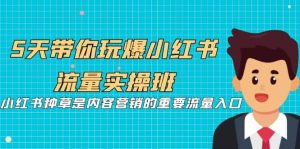 5天带你玩爆小红书流量实操班，小红书种草是内容营销的重要流量入口-逍遥游
