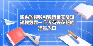 淘系短视频引爆流量实战班,短视频是一个没有天花板的流量入口-逍遥游