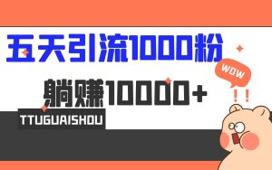 5天引流1000+，赚了1w+-逍遥游