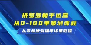 拼多多新手运营从0-100单策划课程，从零起步到爆单详细教程-逍遥游
