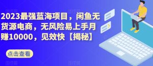 2023最强蓝海项目，闲鱼无货源电商，无风险易上手月赚10000，见效快【揭秘】-逍遥游