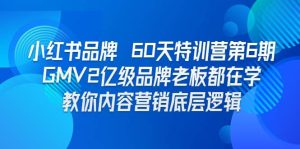 小红书品牌 60天特训营第6期 GMV2亿级品牌老板都在学 教你内容营销底层逻辑-逍遥游
