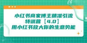 小红书商家 博主精准引流特训营【4.0】用小红书放大你的生意势能-逍遥游