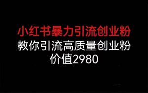 小红书暴力引流创业粉，教你引流高质量创业粉，价值2980-逍遥游
