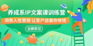 养成系-IP文案课训练营，文案心法的天花板 洞悉人性营销 让客户追着你收钱-逍遥游