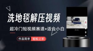 超冷门抖音短视频赛道-清洗地毯解压视频-简单无脑怼作品（教程+素材）-逍遥游