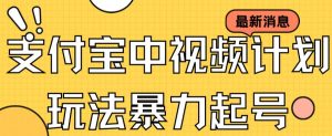 支付宝中视频玩法暴力起号影视起号有播放即可获得收益（带素材）-逍遥游