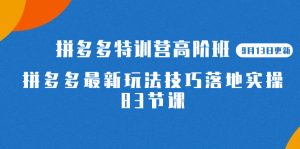 2023拼多多·特训营高阶班【9月13日更新】拼多多最新玩法技巧落地实操-83节-逍遥游