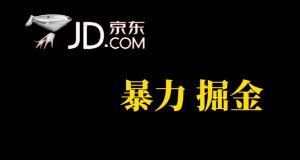 人人可做，京东暴力掘金，体现秒到，每天轻轻松松3-5张，兄弟们干！-逍遥游