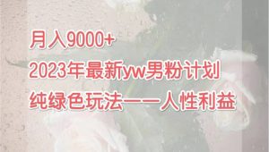 月入9000+2023年9月最新yw男粉计划绿色玩法——人性之利益-逍遥游