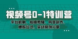视频号0-1特训营:平台机制、拍摄剪辑、内容创作、爆款公式,实战案例分享-逍遥游