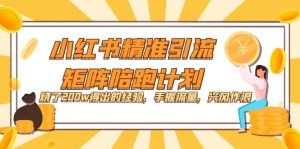 小红书精准引流·矩阵陪跑计划：烧了200w得出的经验，手握流量，兴风作浪！-逍遥游