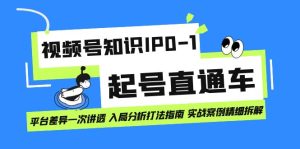 视频号知识IP0-1起号直通车 平台差异一次讲透 入局分析打法指南 实战案例-逍遥游