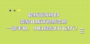 最新蓝海项目，靠禁止废话视频变现，一部手机，小白轻松月入过万！-逍遥游