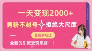 一天收款2000元,男粉不封号拒绝大尺度-色粉全新的变现方法-逍遥游