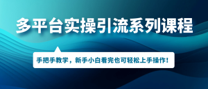 多平台实操引流系列课程,手把手教学,新手小白看完也可轻松上手引流操作-逍遥游