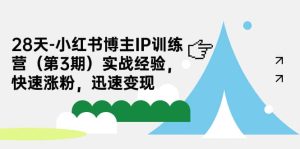 28天-小红书博主IP训练营(第3期)实战经验,快速涨粉,迅速变现-逍遥游
