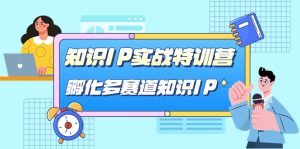 知识IP实战特训营,孵化-多赛道知识IP(33节课)-逍遥游
