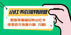 小红书引流特训营-第5期：教你零基础玩转小红书，逆袭百万流量大咖-逍遥游