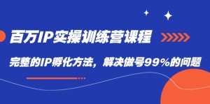 百万IP实战训练营课程，完整的IP孵化方法，解决做号99%的问题-逍遥游