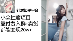 知乎小众性癖项目,Lsp的钱才是最好赚的,付费建群+卖货变现20w-逍遥游