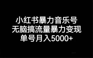 小红书暴力音乐号，无脑搞流量暴力变现，单号月入5000+-逍遥游
