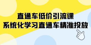 直通车-低价引流课，系统化学习直通车精准投放（14节课）-逍遥游