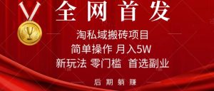淘私域搬砖项目，利用信息差月入5W，每天无脑操作1小时，后期躺赚-逍遥游