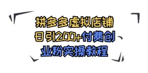 拼多多虚拟店铺日引200+付费创业粉实操教程-逍遥游