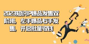 2023知识IP-爆品发售双 阶班,左手爆品右手发售,开启批量收钱-逍遥游