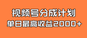全新蓝海 视频号掘金计划 日入2000+-逍遥游