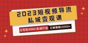 2023短视频导流·私域变现课,日导流3000+私域打法 日销售额2w+-逍遥游