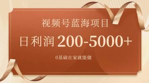 视频号蓝海项目，0基础在家也能做，一天200-5000+【附266G资料】-逍遥游
