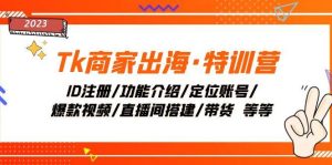 Tk商家出海·特训营：ID注册/功能介绍/定位账号/爆款视频/直播间搭建/带货-逍遥游
