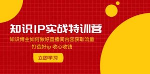 知识IP实战特训营:知识博主如何做好直播间内容获取流量 打造好ip 收心收钱-逍遥游