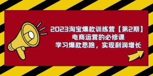 2023淘宝爆款训练营【第2期】电商运营的必修课，学习爆款思路 实现利润增长-逍遥游