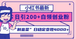 小红书最新日引200+创业粉”割韭菜“日稳定变现4000+实操教程！-逍遥游