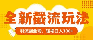 全新截流玩法，精准引流创业粉，轻松日入300+-逍遥游