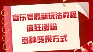 音乐号最新玩法教程，疯狂涨粉，多种拓展变现方式（附保姆级教程+素材）-逍遥游