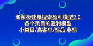 淘系极速爆搜索盈利模型2.0，各个类目的盈利模型，小类目/高客单/标品 非标-逍遥游
