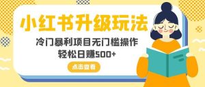 小红书升级玩法，冷门暴利项目无门槛操作，轻松日赚500+-逍遥游