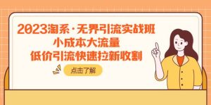 2023淘系·无界引流实战班：小成本大流量，低价引流快速拉新收割-逍遥游