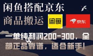 闲鱼搭配京东备份库搬运,一单纯利润200-300,全部正品靠谱,适合新手!-逍遥游