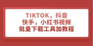 TIKTOK，抖音，快手，小红书视频批量下载工具加教程-逍遥游