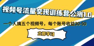 视频号流量变现训练营公测1.0：一个人搞五个视频号，每个账号收益30-50-逍遥游