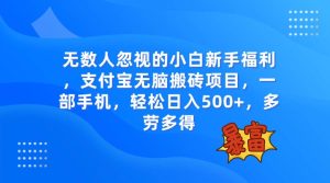 无数人忽视的项目，支付宝无脑搬砖项目，一部手机即可操作，轻松日入500+-逍遥游